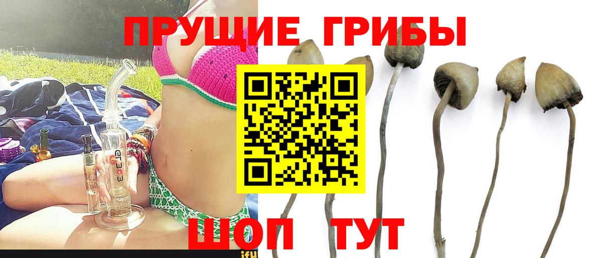 Псилоцибиновые грибы мицелий  Вход с VPN  Псилоцибиновые грибы Magic Shrooms  Шелехов 